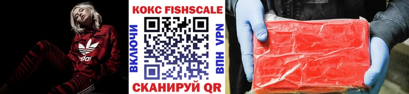 КОКАИН Fish Scale  MEGA онион  Новая Усмань 