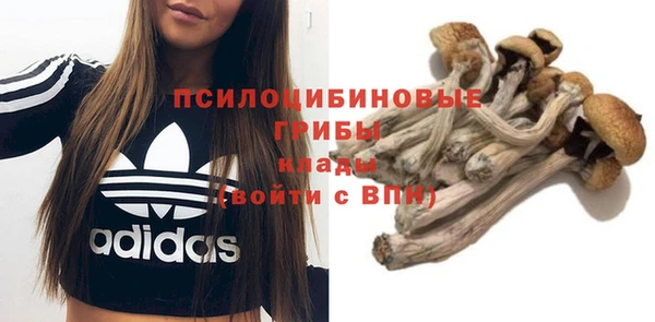 трава Няндома