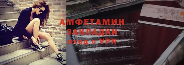трава Няндома