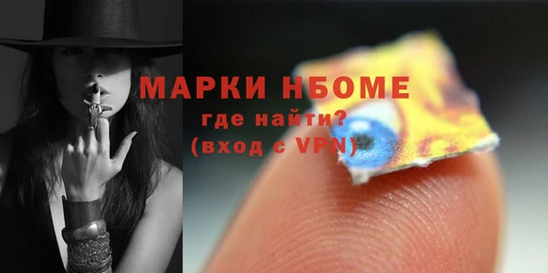 трава Няндома