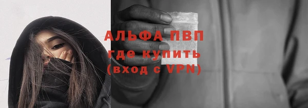 трава Няндома