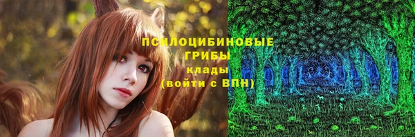 хмурый Нязепетровск
