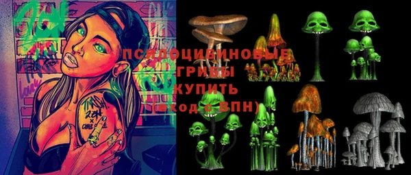 трава Няндома