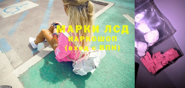 трава Няндома