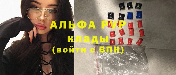 трава Няндома