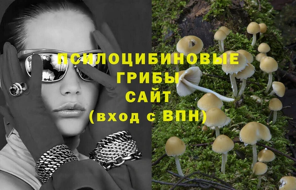хмурый Нязепетровск