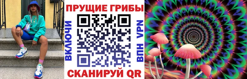 маркетплейс телеграм  купить наркотик  Новая Усмань  Псилоцибиновые грибы прущие грибы 